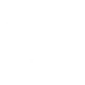 Aldea Nidus Logotipo Negativo